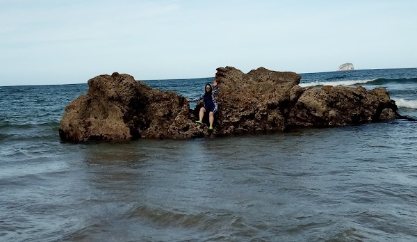 Hot Water Beach 2