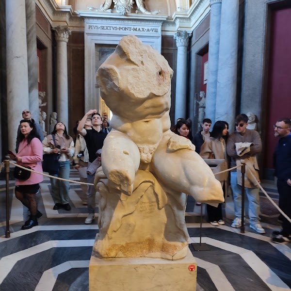 Torso del belvedere