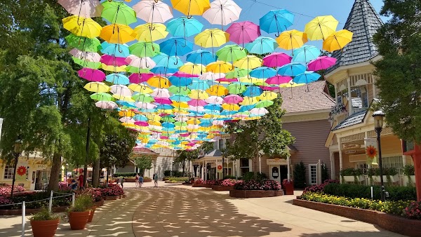 Dollywood 5