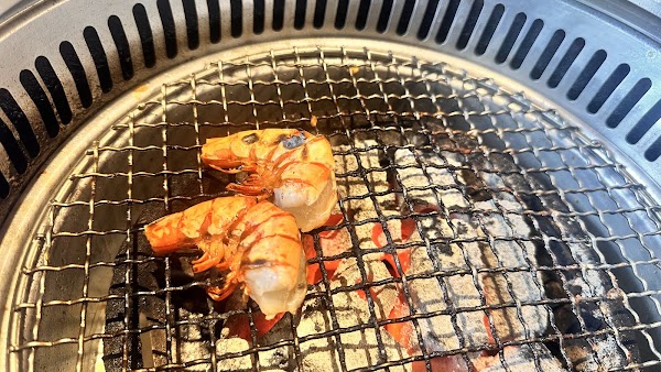 Jizhi Taiwan Exquisite Charcoal Barbecue 2