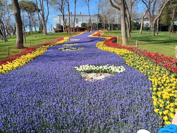 Emirgan Tulip Gardens
