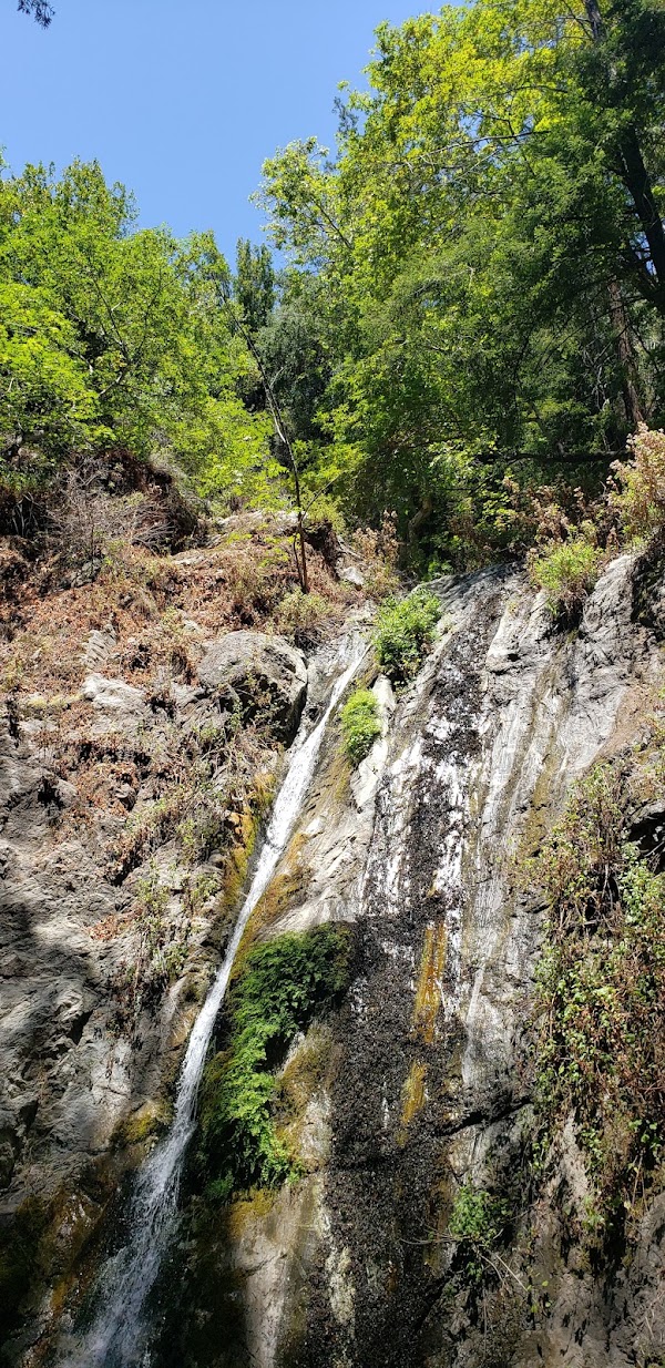 Pfeiffer Falls Trail 3