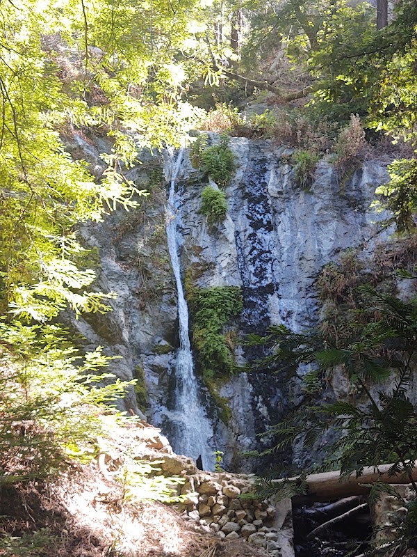 Pfeiffer Falls Trail 2