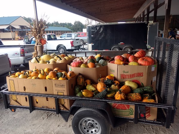 Plowboy Produce Auctions 1