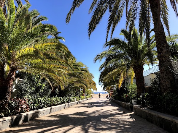 Dunas de Maspalomas 3