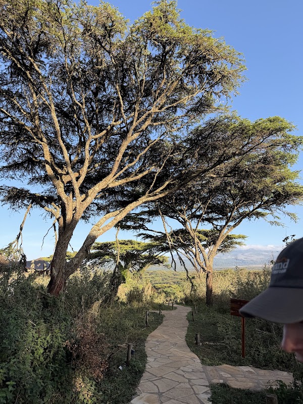 Wilderness Collection Ngorongoro 2