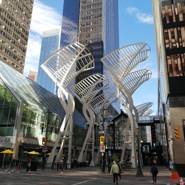 Stephen Avenue Walk 5