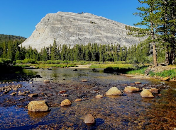 Lembert Dome 4