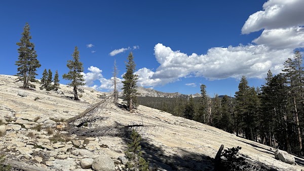 Lembert Dome 2