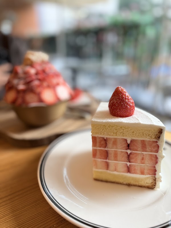 Seongsu Cafe Rafre Fruit | 圣水 Rafre果实咖啡店 | 성수 카페 라프레플루트 4