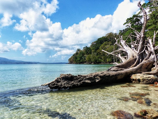 Chidiya Tapu Beach