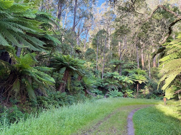 O'Shannassy Aqueduct Trail