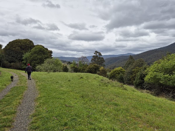 O'Shannassy Aqueduct Trail 4