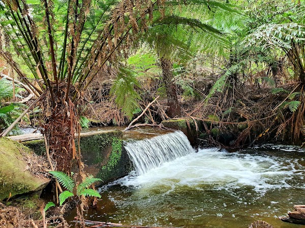 O'Shannassy Aqueduct Trail 2