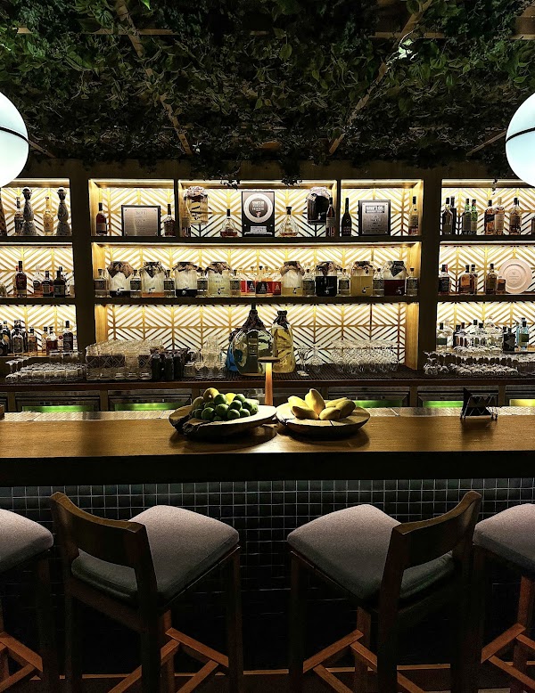 Above Eleven Dubai 5