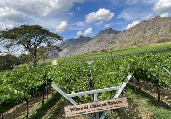 GranMonte Vineyard and Winery 5