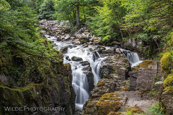 The Hermitage (National Trust for Scotland) 5