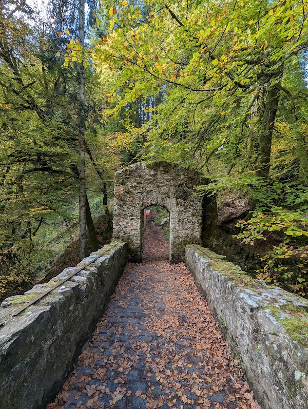 The Hermitage (National Trust for Scotland) 4