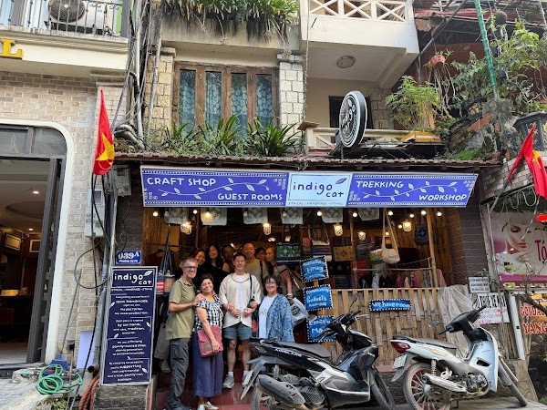 Indigo Cat