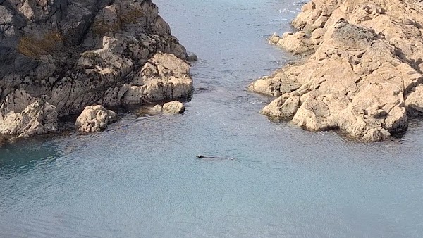 Strumble Head 5