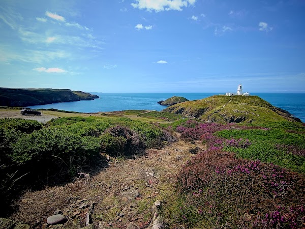 Strumble Head 4