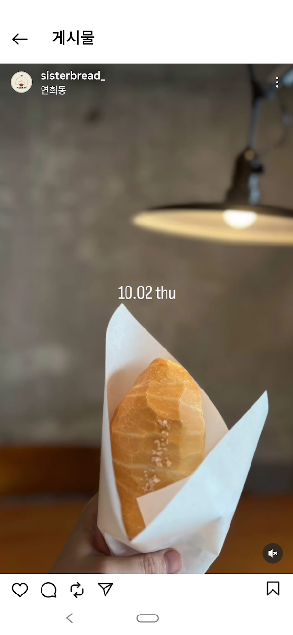 씨스터브레드 4