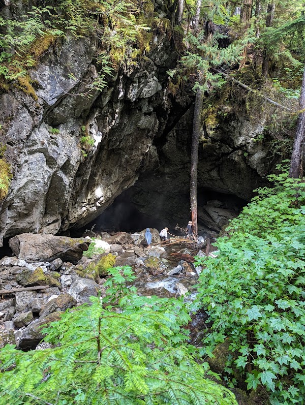 Upana Caves Interpretive Forest Site Path Entrance 4