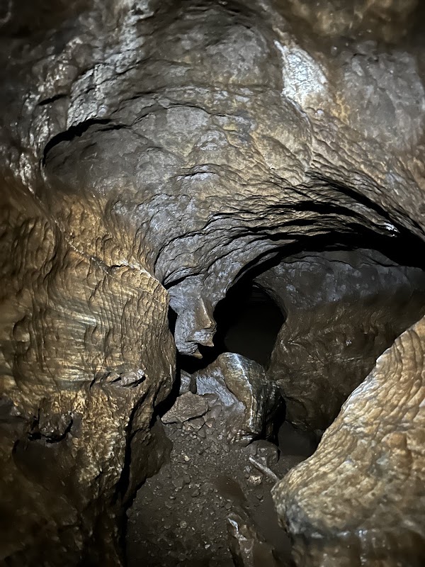 Upana Caves Interpretive Forest Site Path Entrance 2