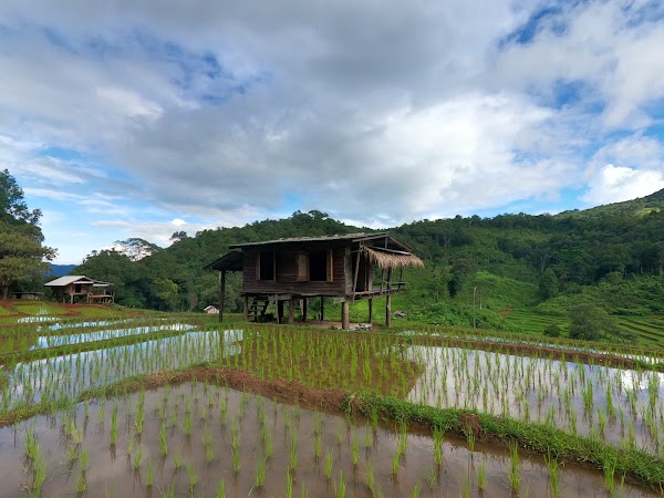 นาขั้นบันไดบ้านปางมะโอ Pang Ma O rice terraces