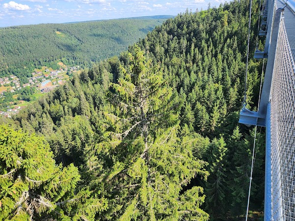 WildLine Hängebrücke 5