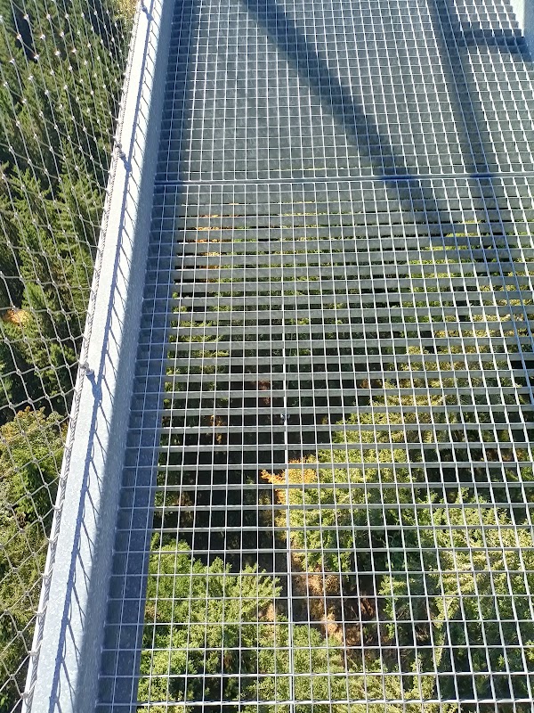 WildLine Hängebrücke 4