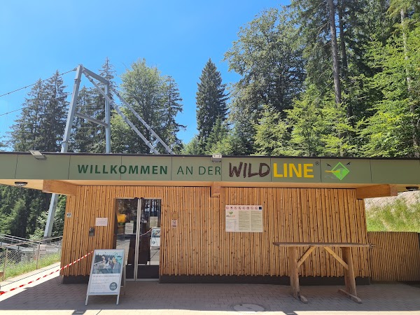 WildLine Hängebrücke 2