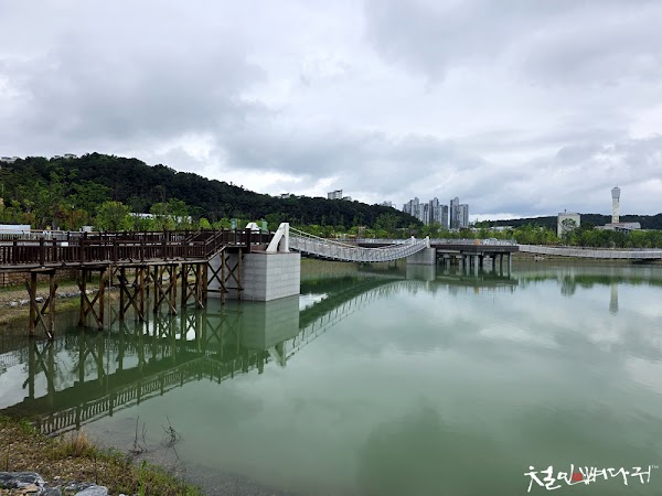 Gapcheon Ecological Park 4