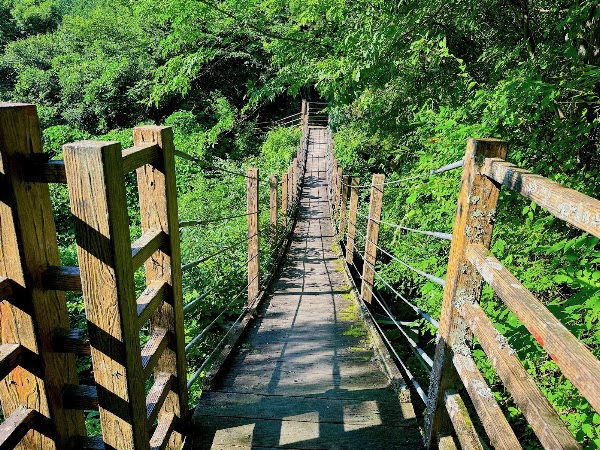 Mizunara Bridge 1