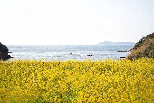 Hamanoura 1