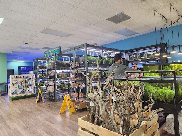 Nature Aquariums 5