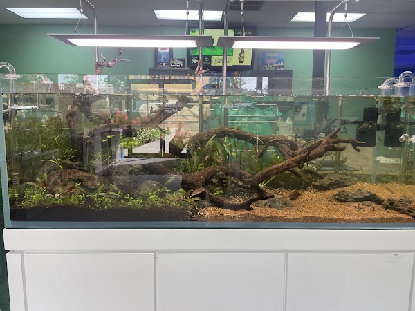 Nature Aquariums 4