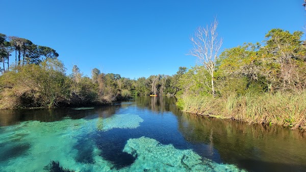 Weeki Wachee Springs State Park 5