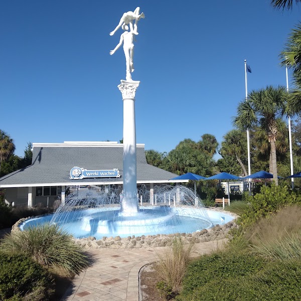 Weeki Wachee Springs State Park 4