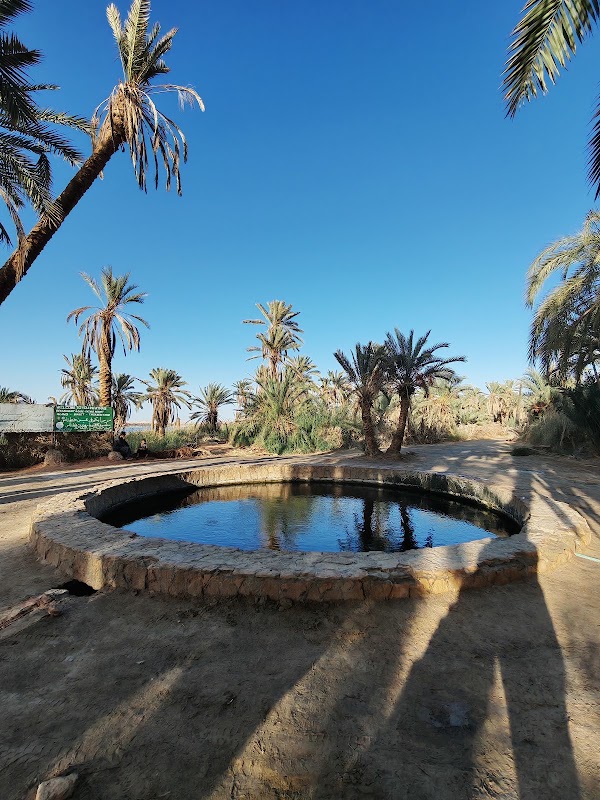 جزيرة وعين فطناس