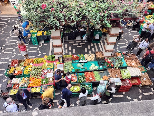 Farmers' Market 4