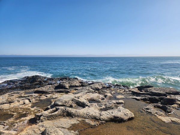 West Cliff Dr tide pools 3