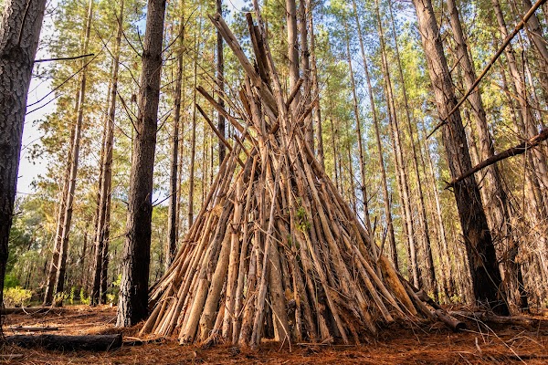 Kuitpo Forest Reserve 3