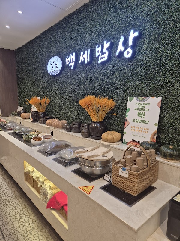 백세밥상 3