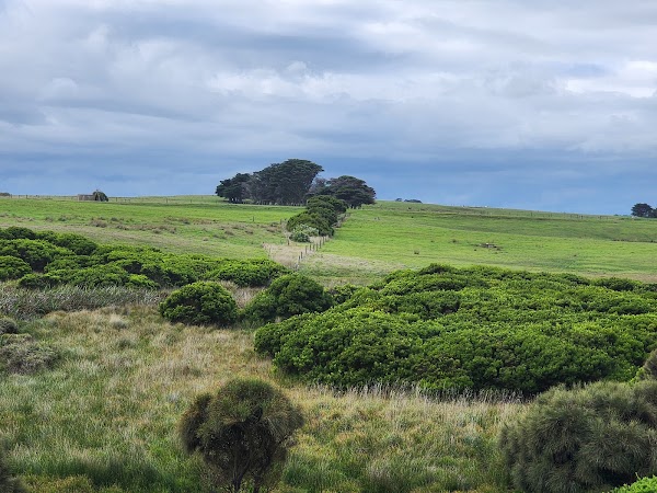Childers Cove 2