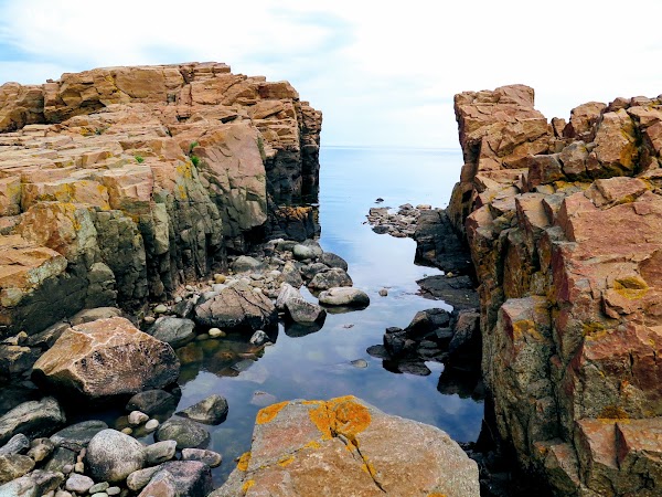 Hovs Hallar Nature Reserve 5