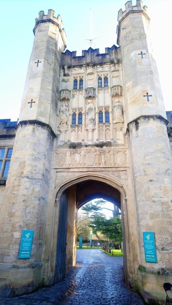 Wells 5