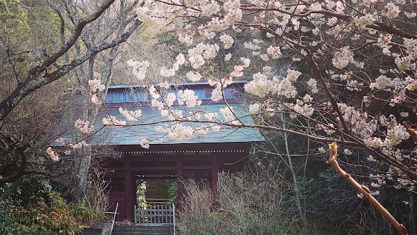 Myohoji