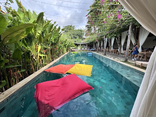 Banana Lounge 3