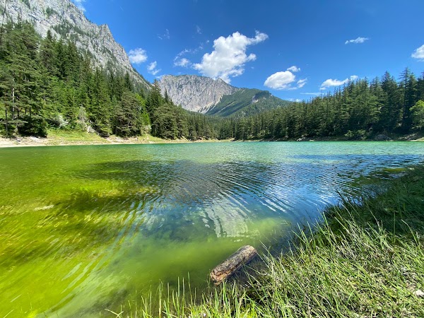 Grüner See